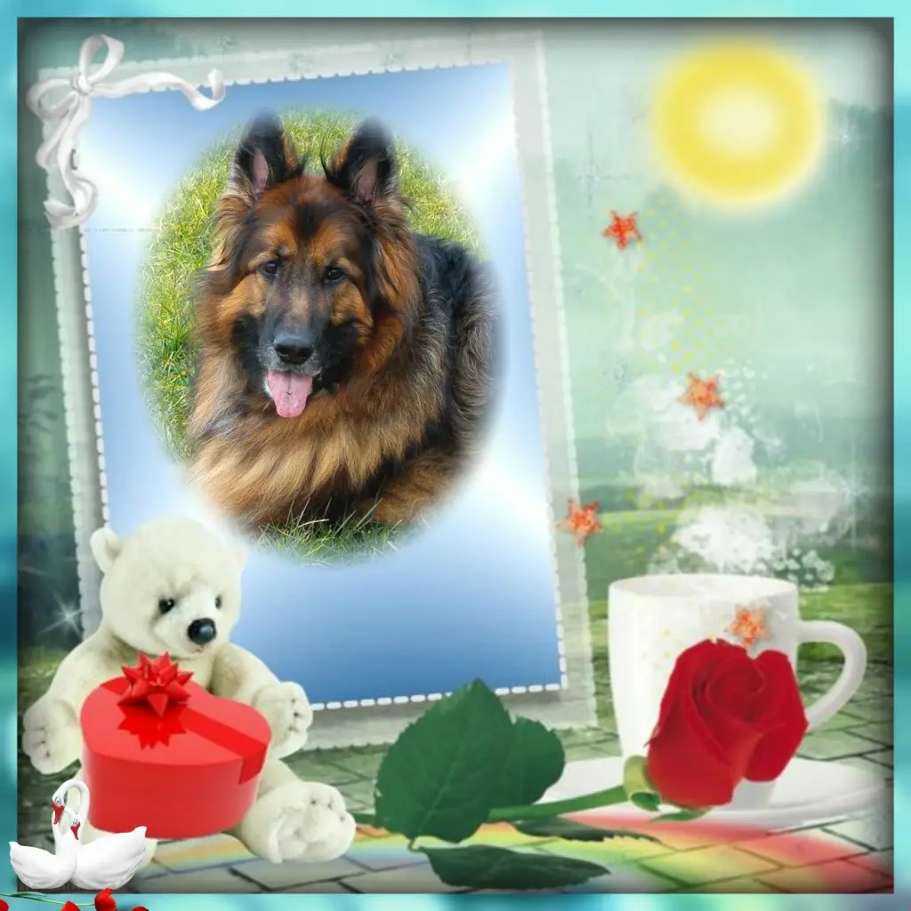 Condolence image of Dzień Dobry❤️❤️❤️mój Ukochany❤️❤️❤️❤️❤️❤️❤️Misieńku❤️❤️❤️