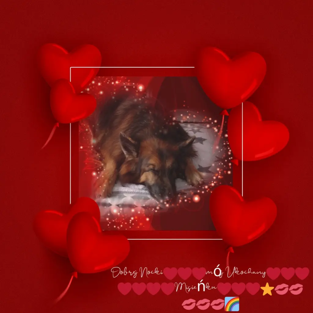 Condolence image of Dobrej Nocki❤️❤️❤️❤️❤️❤️mój Ukochany❤️❤️❤️❤️❤️❤️Misieńku❤️❤️❤️
