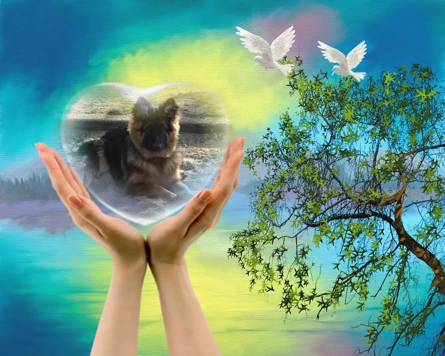 Condolence image of Dzień Dobry❤️❤️❤️mój Ukochany❤️❤️❤️❤️❤️❤️❤️Misieńku❤️❤️❤️