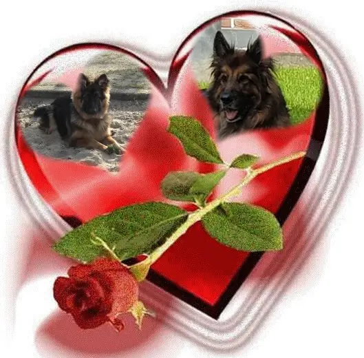 Condolence image of Dzień Dobry❤️❤️❤️mój Ukochany❤️❤️❤️❤️❤️❤️❤️Misieńku❤️❤️❤️
