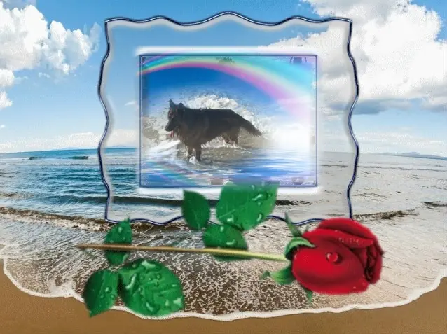 Condolence image of Dzień Dobry❤️❤️❤️mój Ukochany❤️❤️❤️❤️❤️❤️❤️Misieńku❤️❤️❤️
