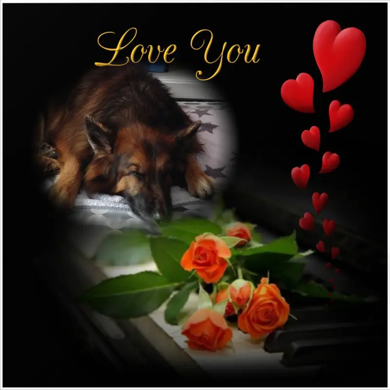 Condolence image of Dobrej Nocki❤️❤️❤️❤️❤️❤️mój Ukochany❤️❤️❤️❤️❤️❤️Misieńku❤️❤️❤️