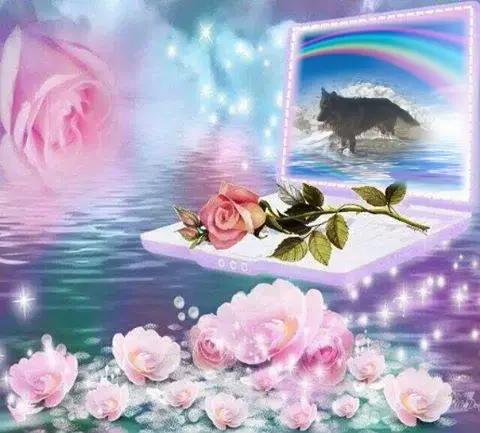 Condolence image of Dzień Dobry❤️❤️❤️mój Ukochany❤️❤️❤️❤️❤️❤️❤️Misieńku❤️❤️❤️