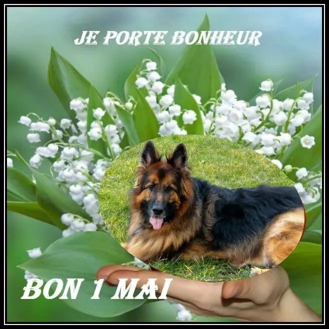 Condolence image of Dzień Dobry❤️❤️❤️mój Ukochany❤️❤️❤️❤️❤️❤️❤️Misieńku❤️❤️❤️