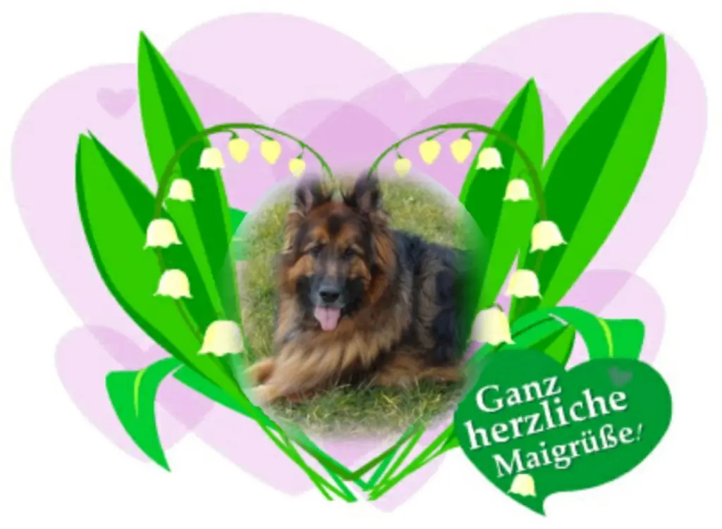 Condolence image of Ewa & Krzysztof mit Jacki tief im Herzen ❤