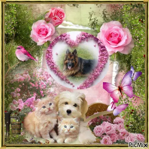 Condolence image of Dzień Dobry❤️❤️❤️mój Ukochany❤️❤️❤️❤️❤️❤️❤️Misieńku❤️❤️❤️