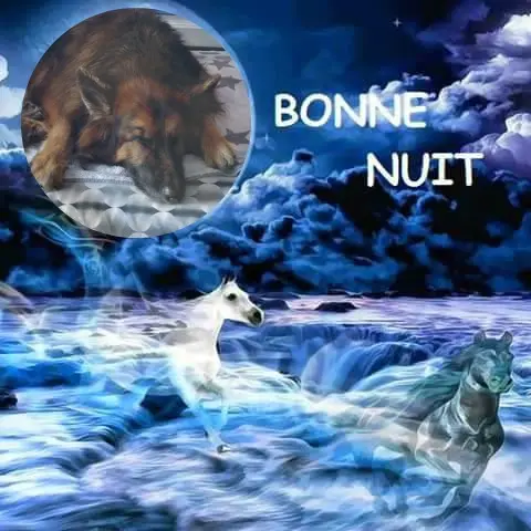 Condolence image of Dobrej Nocki❤️❤️❤️❤️❤️❤️mój Ukochany❤️❤️❤️❤️❤️❤️Misieńku❤️❤️❤️