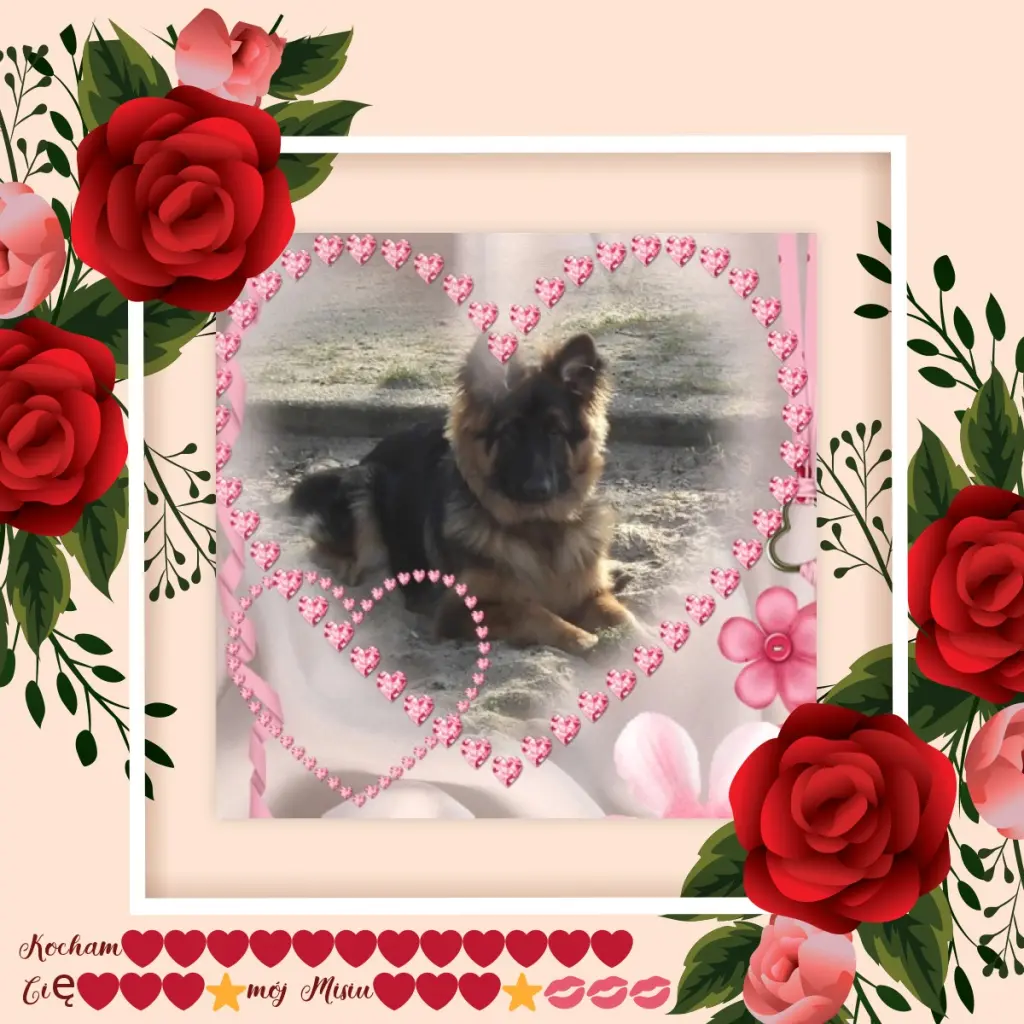 Condolence image of Dzień Dobry❤️❤️❤️mój Ukochany❤️❤️❤️❤️❤️❤️❤️Misieńku❤️❤️❤️