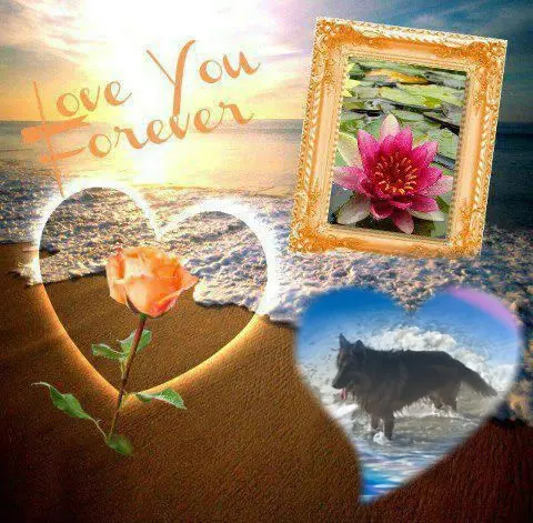 Condolence image of 5.Lat.......BEZ CIEBIE❤️❤️❤️⭐️MISIEŃKU❤️❤️❤️⭐️