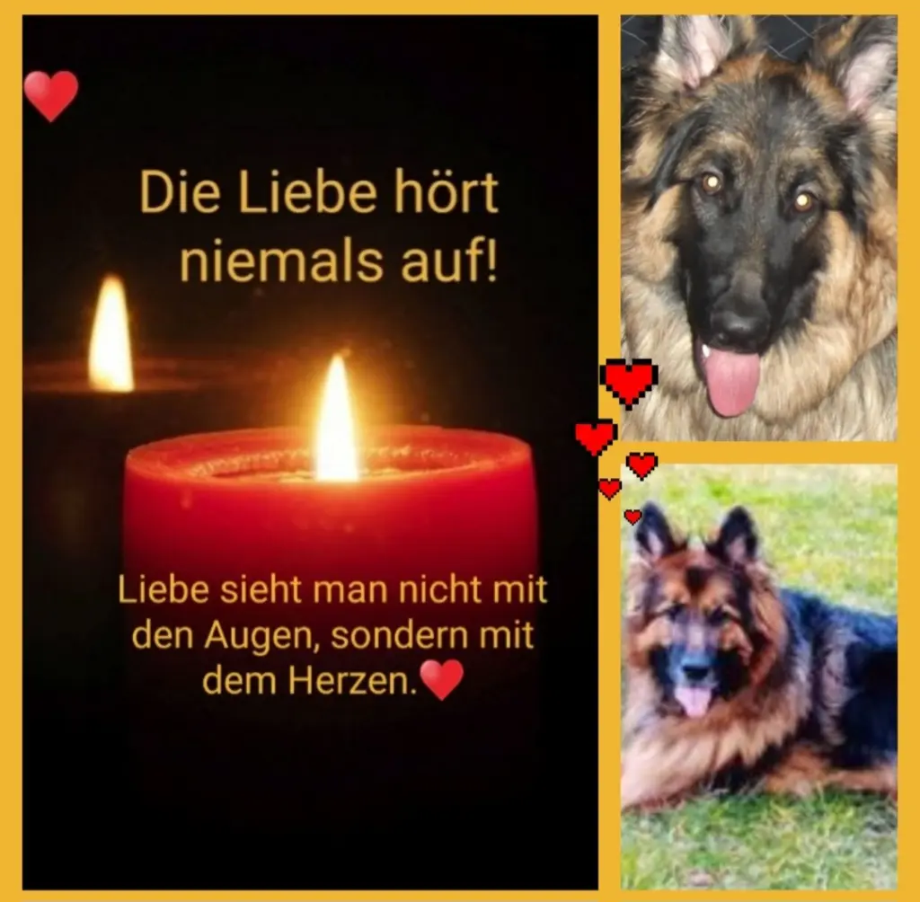 Condolence image of Birgit