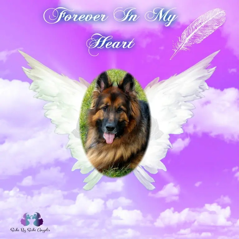 Condolence image of Dzień Dobry❤️❤️❤️mój Ukochany❤️❤️❤️❤️❤️❤️❤️Misieńku❤️❤️❤️