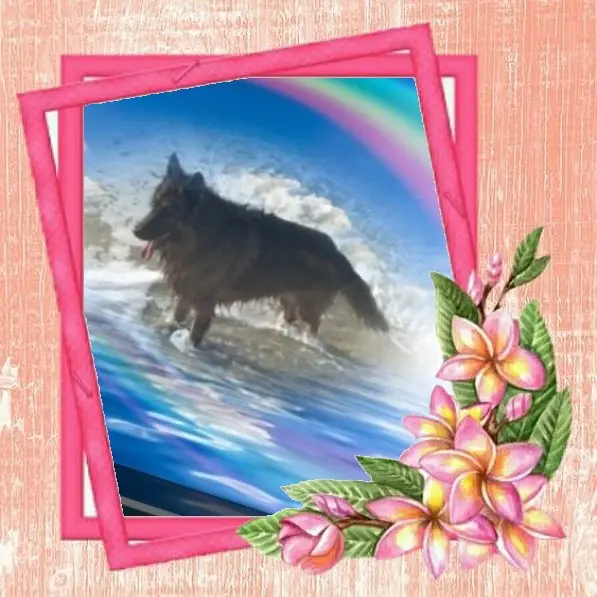 Condolence image of Andrea mit Minki im ♥️