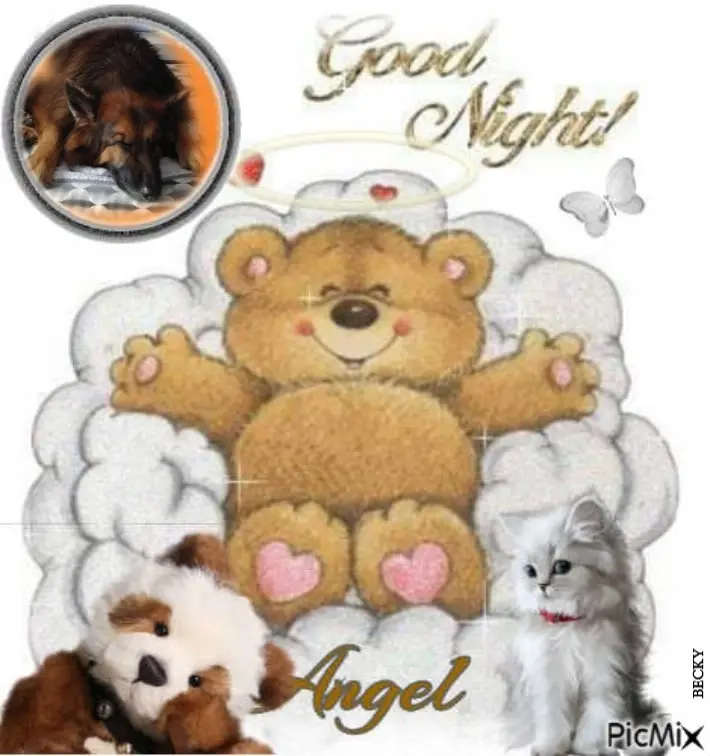 Condolence image of Dobrej Nocki❤️❤️❤️❤️❤️❤️mój Ukochany❤️❤️❤️❤️❤️❤️Misieńku❤️❤️❤️
