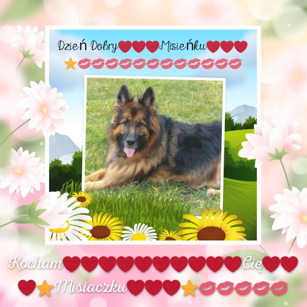 Condolence image of Dzień Dobry❤️❤️❤️mój Ukochany❤️❤️❤️❤️❤️❤️❤️Misieńku❤️❤️❤️