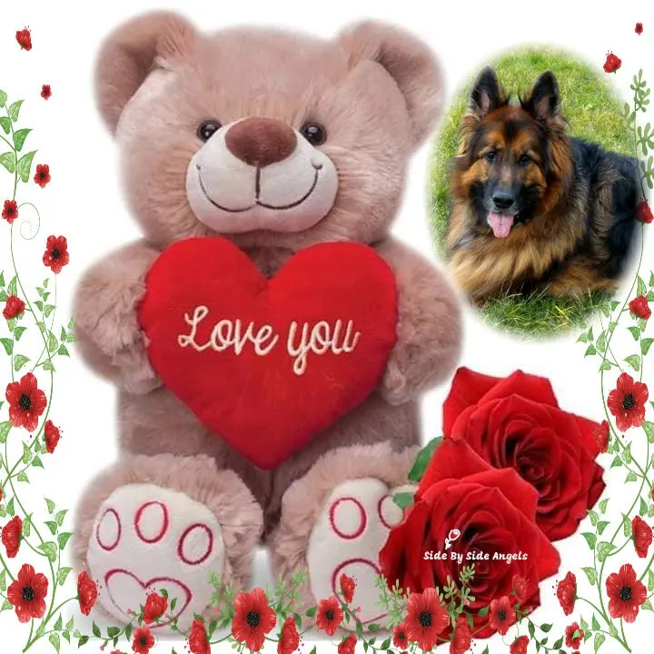 Condolence image of Dzień Dobry❤️❤️❤️mój Ukochany❤️❤️❤️❤️❤️❤️❤️Misieńku❤️❤️❤️