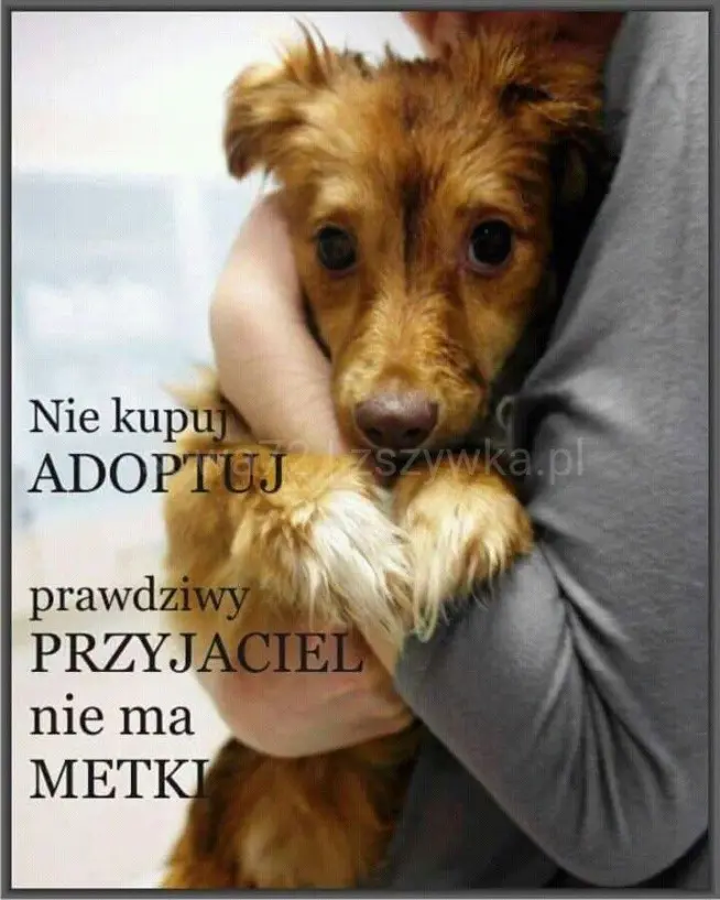 Condolence image of ❤️❤️❤️❤️❤️❤️❤️❤️❤️❤️❤️❤️