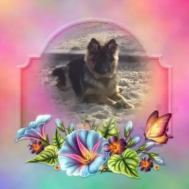 Condolence image of Dzień Dobry❤️❤️❤️mój Ukochany❤️❤️❤️❤️❤️❤️❤️Misieńku❤️❤️❤️