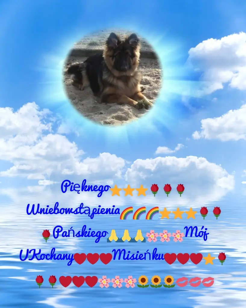 Condolence image of Dzień Dobry❤️❤️❤️mój Ukochany❤️❤️❤️❤️❤️❤️❤️Misieńku❤️❤️❤️
