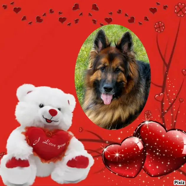 Condolence image of Dzień Dobry❤️❤️❤️mój Ukochany❤️❤️❤️❤️❤️❤️❤️Misieńku❤️❤️❤️