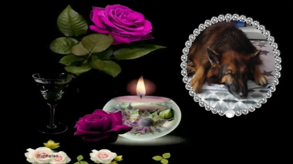 Condolence image of Dobrej Nocki❤️❤️❤️❤️❤️❤️mój Ukochany❤️❤️❤️❤️❤️❤️Misieńku❤️❤️❤️