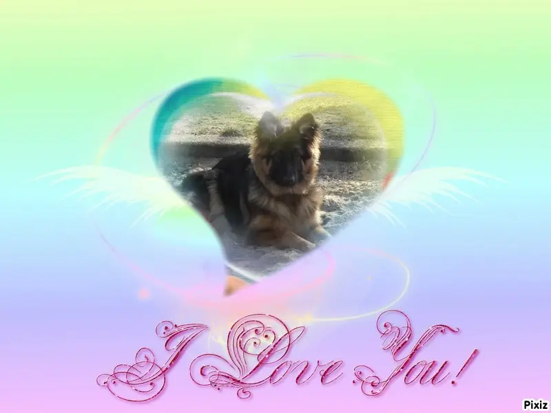 Condolence image of Dzień Dobry❤️❤️❤️mój Ukochany❤️❤️❤️❤️❤️❤️❤️Misieńku❤️❤️❤️