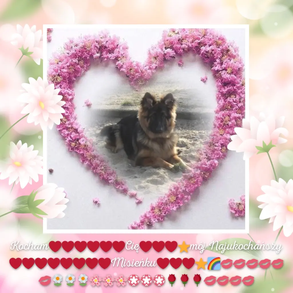 Condolence image of Dzień Dobry❤️❤️❤️mój Ukochany❤️❤️❤️❤️❤️❤️❤️Misieńku❤️❤️❤️