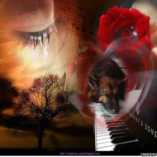 Condolence image of Dobrej Nocki❤️❤️❤️❤️❤️❤️mój Ukochany❤️❤️❤️❤️❤️❤️Misieńku❤️❤️❤️
