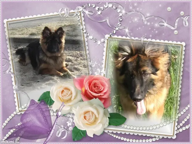Condolence image of Dzień Dobry❤️❤️❤️mój Ukochany❤️❤️❤️❤️❤️❤️❤️Misieńku❤️❤️❤️