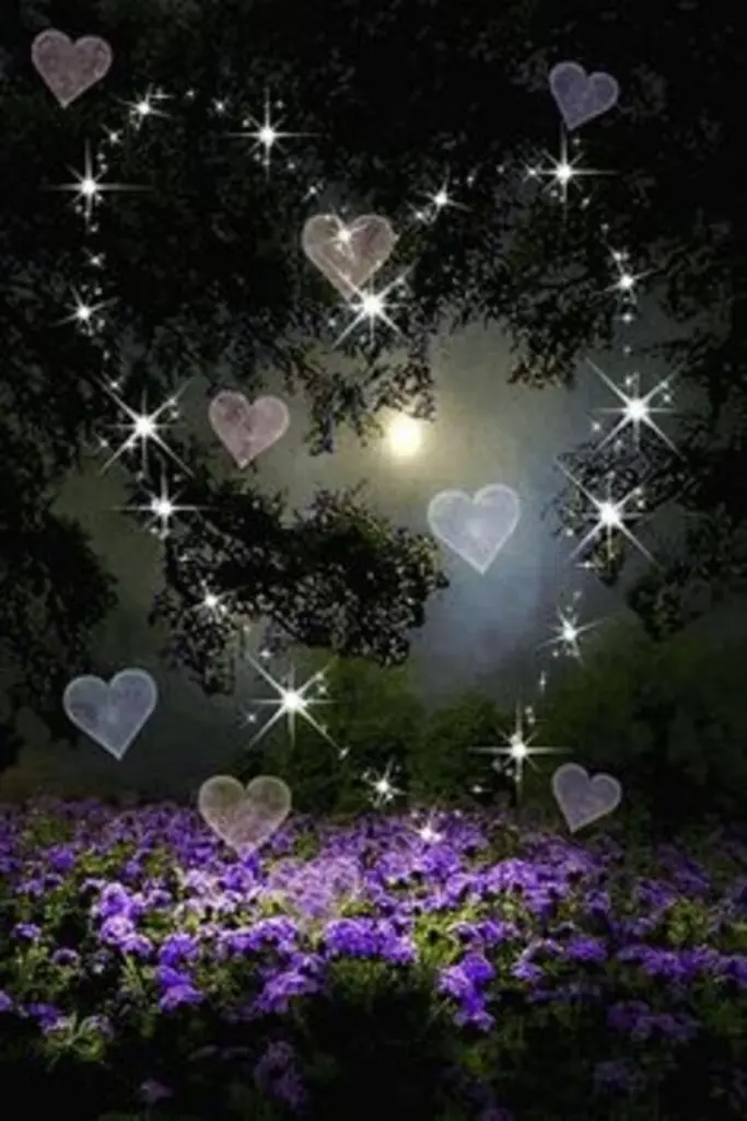 Condolence image of Gute Gedanken zum Abend *
