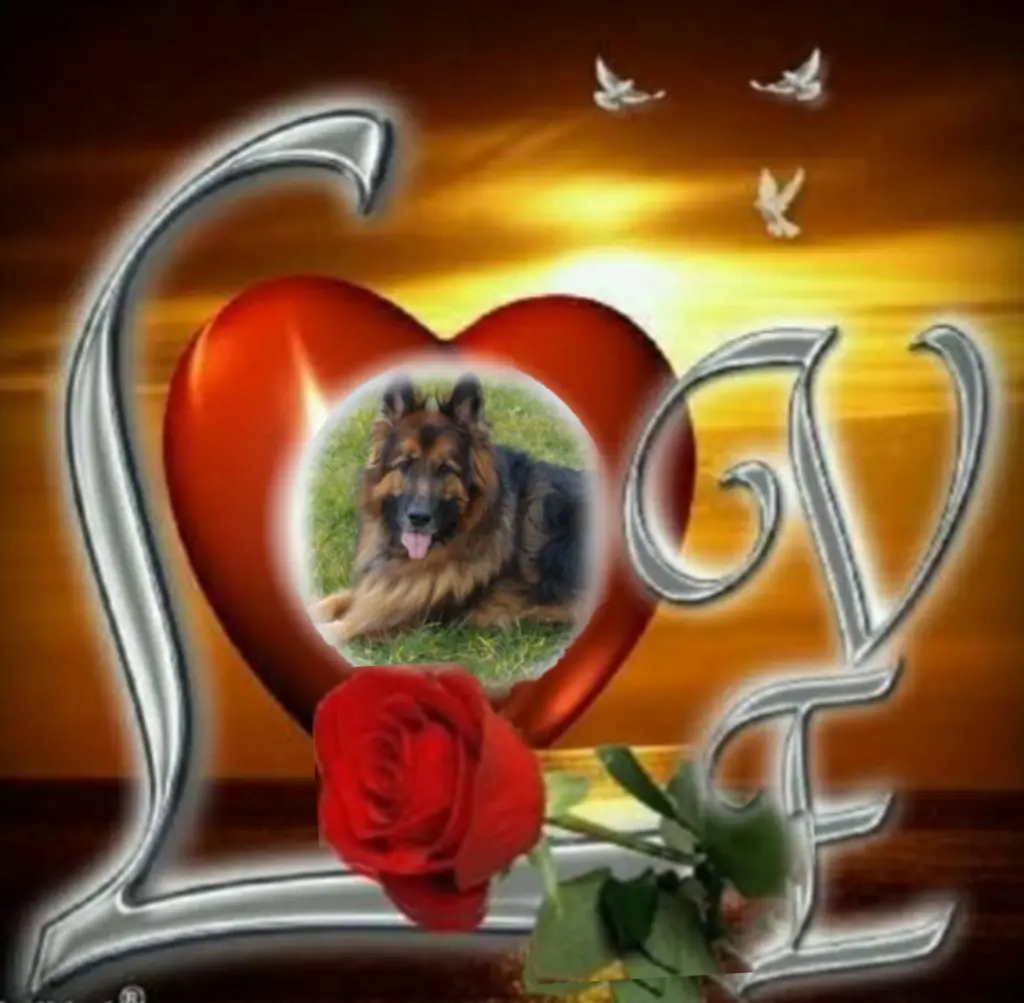 Condolence image of Dzień dobry kochany Misiu❤