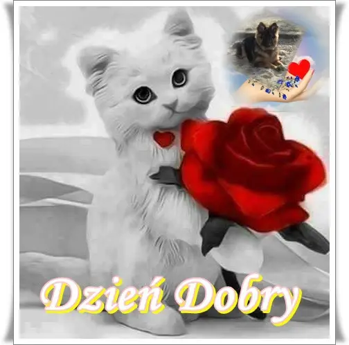 Condolence image of Dzień Dobry❤️❤️❤️mój Ukochany❤️❤️❤️❤️❤️❤️❤️Misieńku❤️❤️❤️