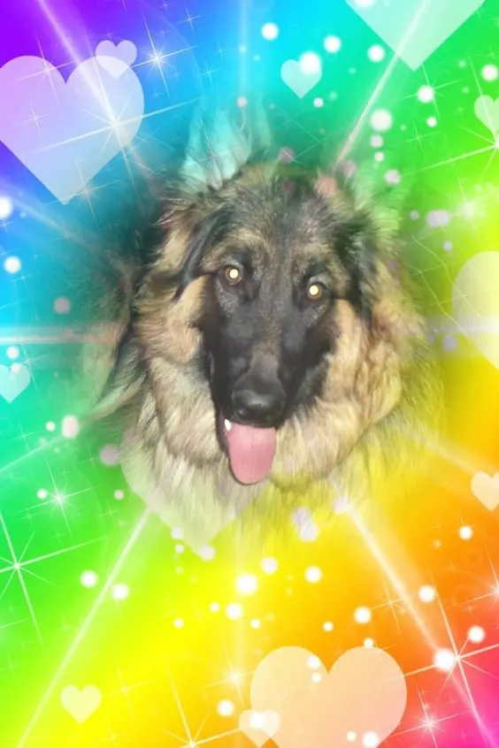 Condolence image of Dzień Dobry❤️❤️❤️mój Ukochany❤️❤️❤️❤️❤️❤️❤️Misieńku❤️❤️❤️