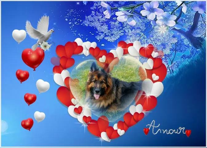 Condolence image of Dobry Wieczór❤️❤️❤️Mińku❤️❤️❤️