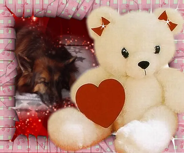 Condolence image of Dobrej Nocki❤️❤️❤️❤️❤️❤️mój Ukochany❤️❤️❤️❤️❤️❤️Misieńku❤️❤️❤️