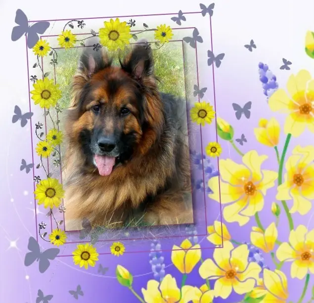 Condolence image of Dzień Dobry❤️❤️❤️mój Ukochany❤️❤️❤️❤️❤️❤️❤️Misieńku❤️❤️❤️