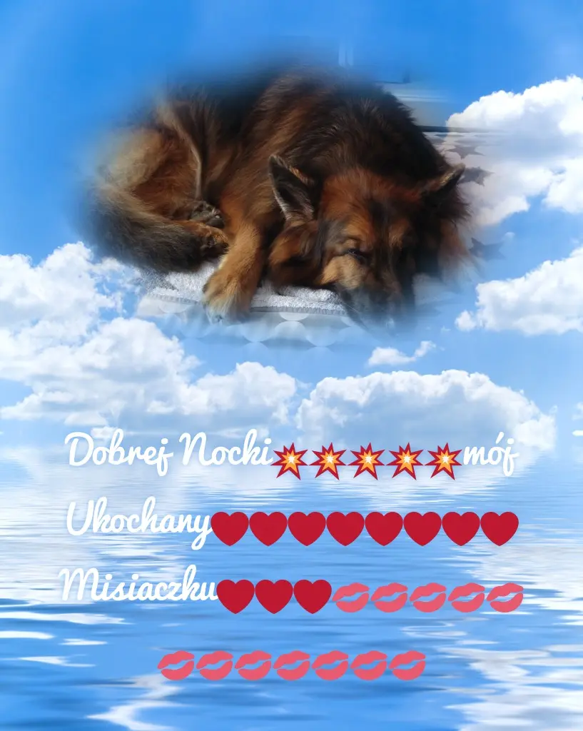 Condolence image of Dobrej Nocki❤️❤️❤️❤️❤️❤️mój Ukochany❤️❤️❤️❤️❤️❤️Misieńku❤️❤️❤️