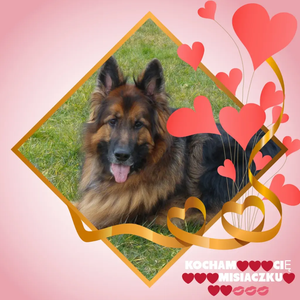 Condolence image of Dzień Dobry❤️❤️❤️mój Ukochany❤️❤️❤️❤️❤️❤️❤️Misieńku❤️❤️❤️