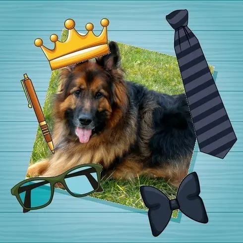 Condolence image of Dzień Dobry❤️❤️❤️mój Ukochany❤️❤️❤️❤️❤️❤️❤️Misieńku❤️❤️❤️