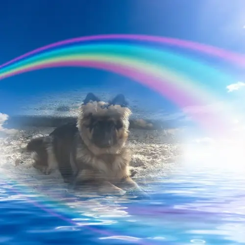 Condolence image of Dzień Dobry❤️❤️❤️mój Ukochany❤️❤️❤️❤️❤️❤️❤️Misieńku❤️❤️❤️