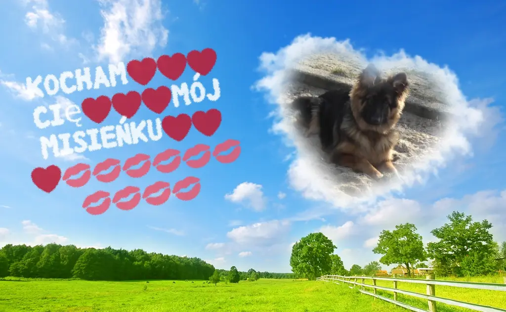 Condolence image of Dzień Dobry❤️❤️❤️mój Ukochany❤️❤️❤️❤️❤️❤️❤️Misieńku❤️❤️❤️