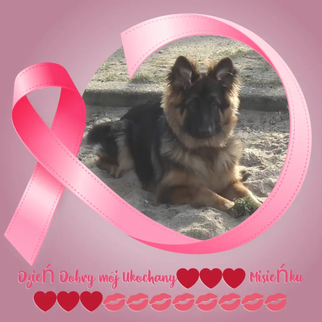 Condolence image of Dzień Dobry❤️❤️❤️mój Ukochany❤️❤️❤️❤️❤️❤️❤️Misieńku❤️❤️❤️
