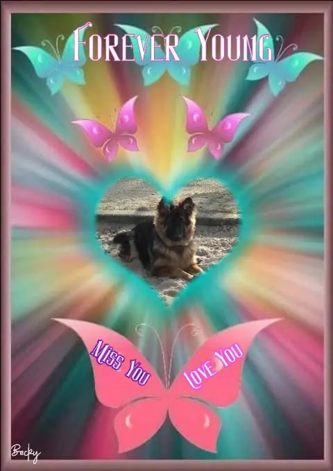 Condolence image of Dzień Dobry❤️❤️❤️mój Ukochany❤️❤️❤️❤️❤️❤️❤️Misieńku❤️❤️❤️