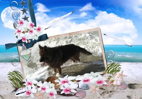 Condolence image of Dzień Dobry❤️❤️❤️mój Ukochany❤️❤️❤️❤️❤️❤️❤️Misieńku❤️❤️❤️