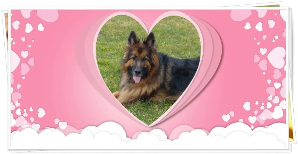 Condolence image of Dzień Dobry❤️❤️❤️mój Ukochany❤️❤️❤️❤️❤️❤️❤️Misieńku❤️❤️❤️
