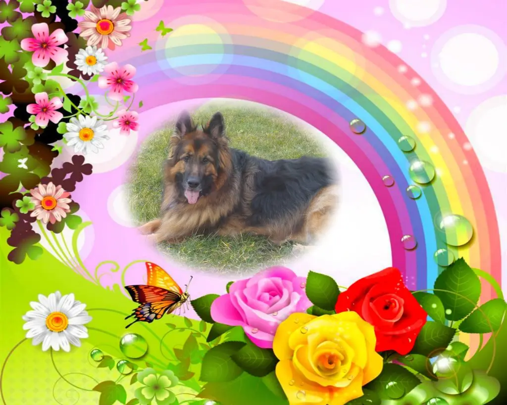 Condolence image of Dzień Dobry❤️❤️❤️mój Ukochany❤️❤️❤️❤️❤️❤️❤️Misieńku❤️❤️❤️