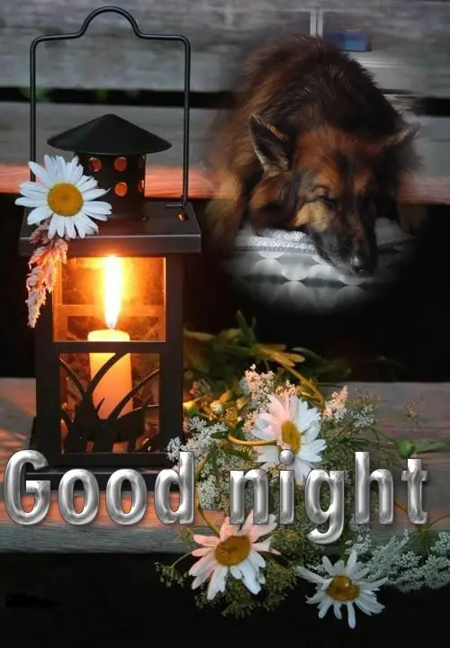 Condolence image of Dobrej Nocki❤️❤️❤️❤️❤️❤️mój Ukochany❤️❤️❤️❤️❤️❤️Misieńku❤️❤️❤️