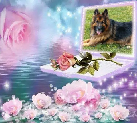 Condolence image of Dzień Dobry❤️❤️❤️mój Ukochany❤️❤️❤️❤️❤️❤️❤️Misieńku❤️❤️❤️