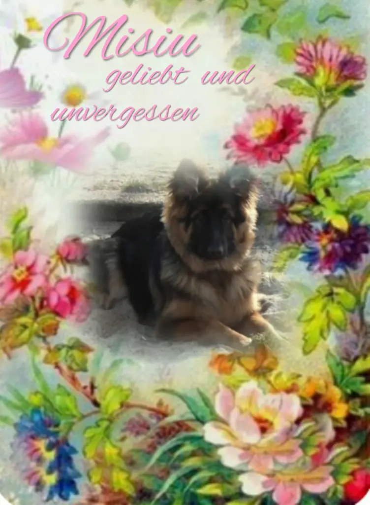 Condolence image of Niedziela...272 tygodni bez Ciebie kochany Misiu❤...