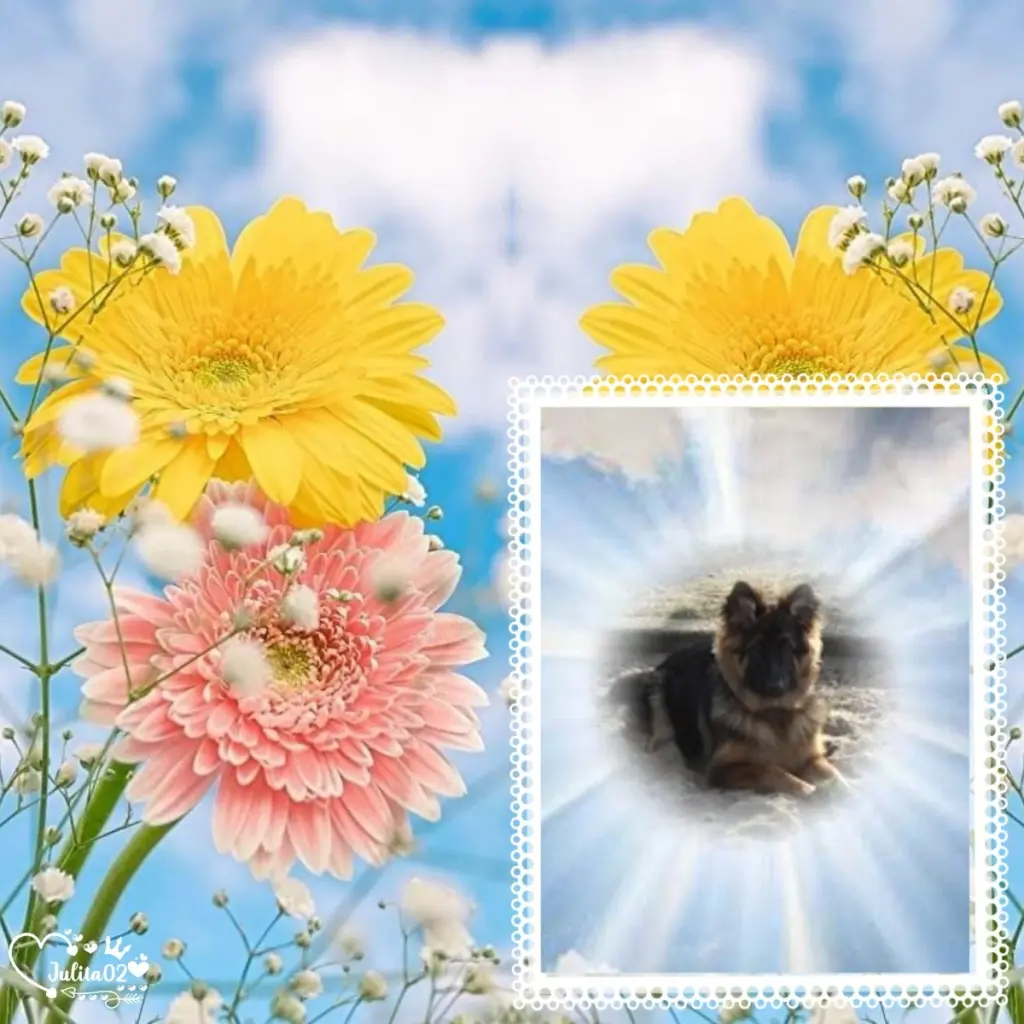 Condolence image of Dzień Dobry❤️❤️❤️mój Ukochany❤️❤️❤️❤️❤️❤️❤️Misieńku❤️❤️❤️