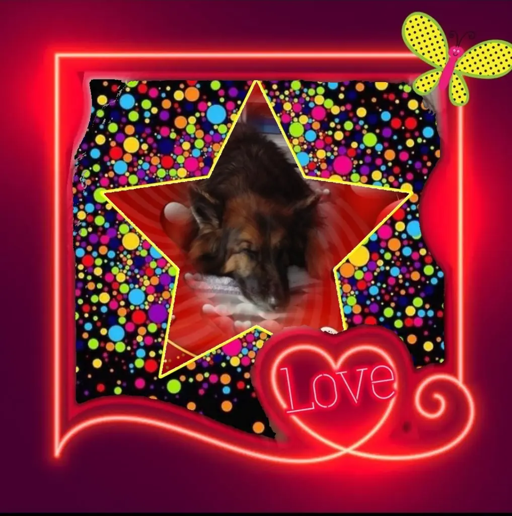 Condolence image of Dobrej Nocki❤️❤️❤️❤️❤️❤️mój Ukochany❤️❤️❤️❤️❤️❤️Misieńku❤️❤️❤️